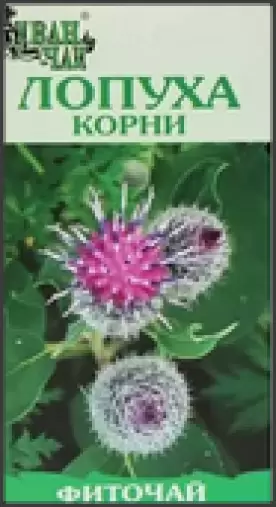 Корень лопуха Упаковка 50г произодства Камелия НПП