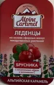 Альпийская карамель для детей с натуральным медом и витамином С Леденцы (брусника) 53г от Россия