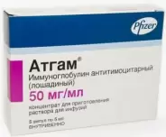 Атгам