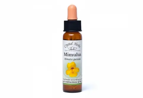 Бах №20 Губастик (mimulus) Флакон 10мл произодства Нельсон энд Ко.