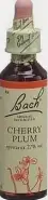 Бах №6 Вишнеслива (Cherry Plum) Флакон 20мл от Международная аптека