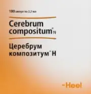 Церебрум композитум