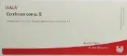 Церебрум регио моторика GI D6