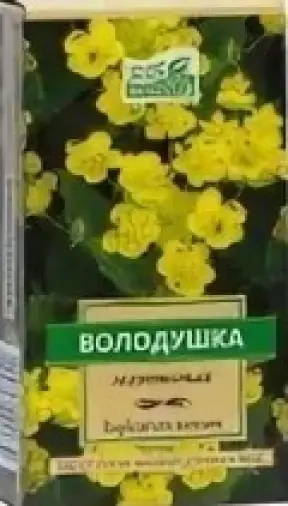 Чай Володушка золотистая