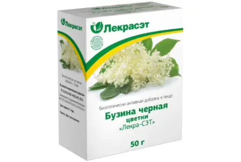 Цветки бузины чёрной