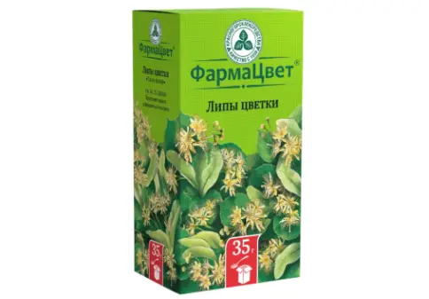 Цветки липы