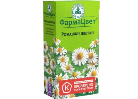 Цветки ромашки