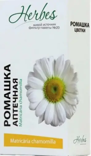 Цветки ромашки