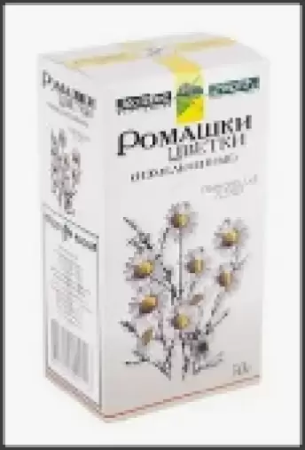 Цветки ромашки