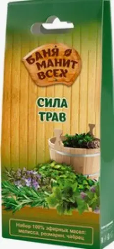 Эфирные масла для бани и сауны Баня манит всех Сила трав Набор (мелисса-розмарин-чабрец) 10мл №3 произодства Лекус ООО