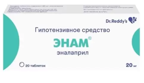 Энам Таблетки 20мг №20 в Серпухове