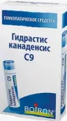 Гидрастис канаденсис гранулы гомеопат. Разведение С9 Пенал полим.4г №1 от Буарон Лаборатория