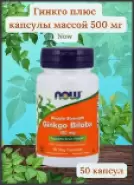 Гинкго Плюс Капсулы 500мг №50 от ЗДОРОВ ру Молодёжная