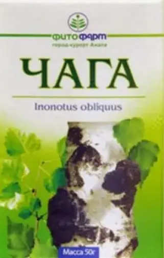 Гриб чага