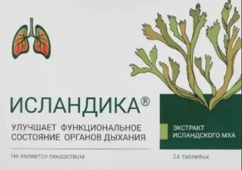 Исландика