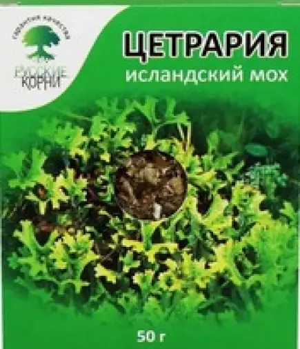 Исландский мох (цетрария)