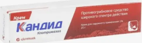 Кандид