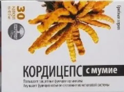 Кордицепс с мумие Капсулы №30 произодства Алфит Плюс ООО