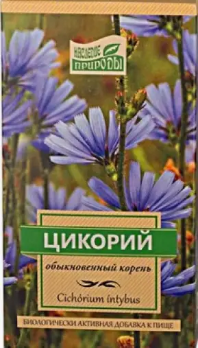 Корень цикория