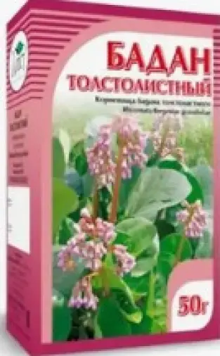 Корневища бадана Упаковка 50г произодства Хорст Компания ООО