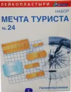 Лейкопластырь Мечта туриста бакт.