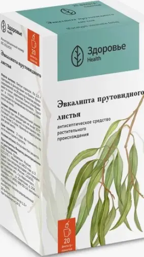 Лист эвкалипта