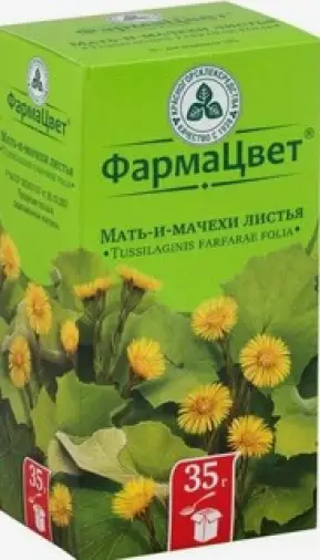 Лист мать-и-мачехи