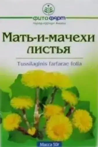 Лист мать-и-мачехи