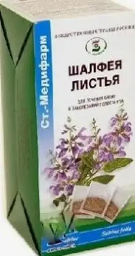 Лист шалфея