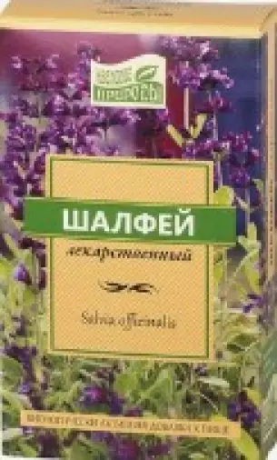 Лист шалфея