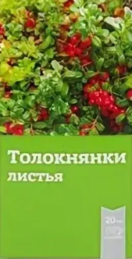Лист толокнянки