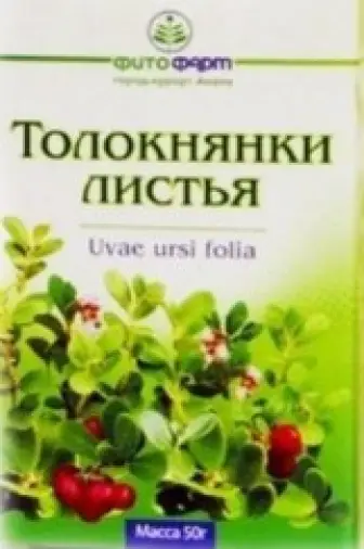 Лист толокнянки