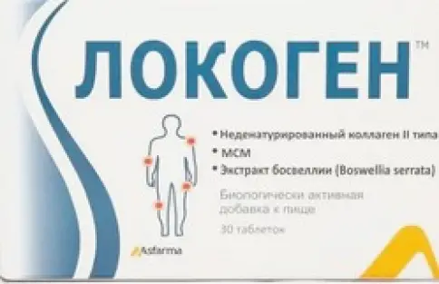 Локоген Таблетки 640мг №30 произодства Вефа Илач Сан. ве Тидж. Лтд