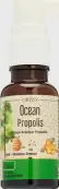 Orzax (Орзакс) Ocean Прополис Спрей 20мл от ORZAX (Орзакс)