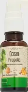 Orzax (Орзакс) Ocean Прополис Спрей 20мл от МосАптека 1905г 15
