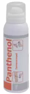 Пантенол Спрей 130мл в Красноярске от Аптека Эконом Красноярск Водопьянова 15