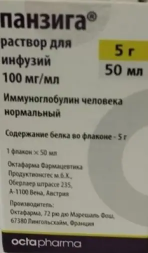 Панзига