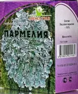 Пармелия (лишайник)