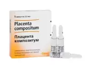 Плацента композитум