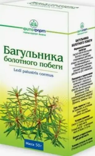 Побеги багульника болотного