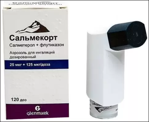 Сальмекорт Аэрозоль 25мкг+125мкг/доза 120доз в Долгопрудном