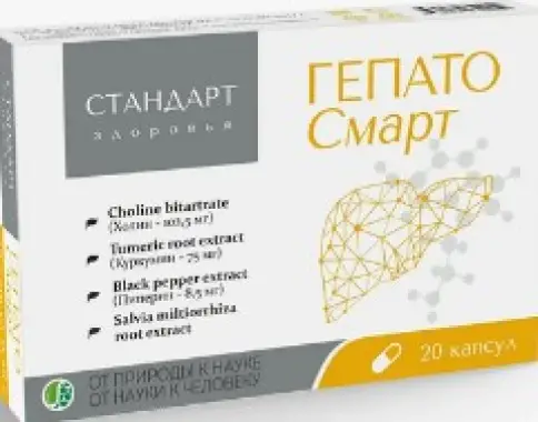 Стандарт здоровья Гепато смарт Капсулы №20 произодства Ф. фабрика (Тула)