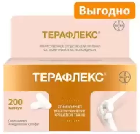 Сагмел