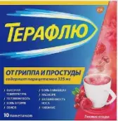 ТераФлю Пакетики №10 от Хелеон Рус