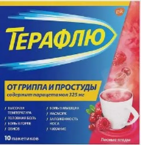 ТераФлю Пакетики №10 в Саках