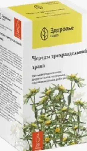 Здоровье ООО