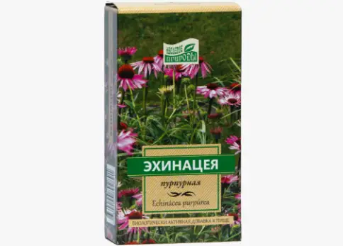 Трава эхинацеи Упаковка 50г произодства Камелия НПП