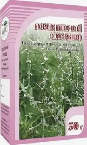 Трава горца птичьего (спорыша)