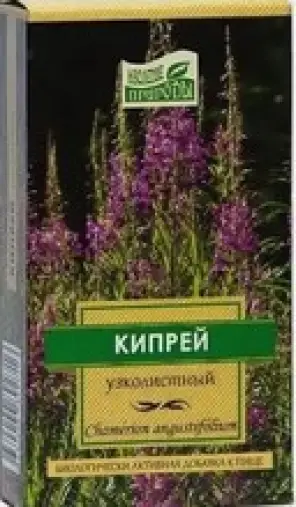 Трава Кипрей (Иван-чай) узколистный