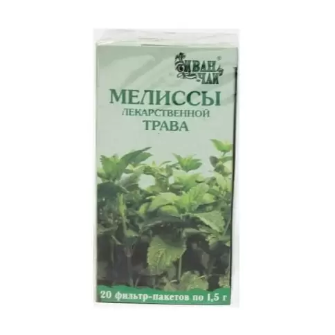 Трава мелиссы